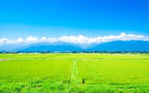 日本農業をとりまく外部環境と現状